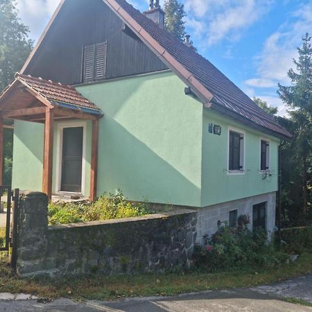Forest Chalet Zalesina Eksteriør bilde