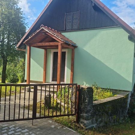 Forest Chalet Zalesina Eksteriør bilde