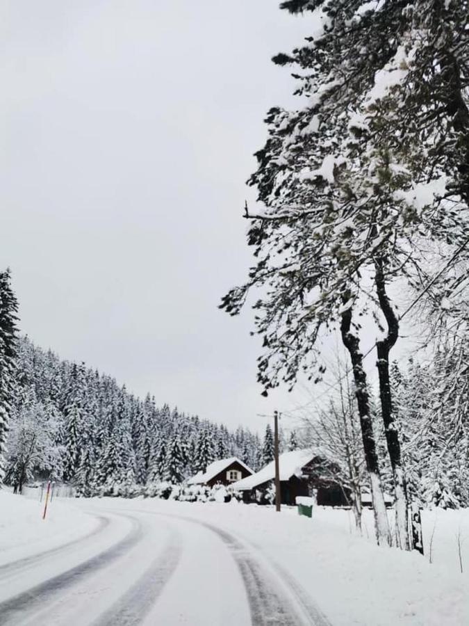 Forest Chalet Zalesina Eksteriør bilde